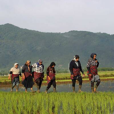 Javaher Deh